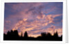 Sunset Over Auke Bay in Alaska by Anonymous