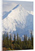 Mount Brooks in Denali National Park by Anonymous