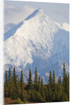 Mount Brooks in Denali National Park by Anonymous
