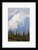 Mount Brooks in Denali National Park by Anonymous