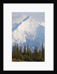 Mount Brooks in Denali National Park by Anonymous
