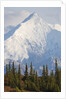 Mount Brooks in Denali National Park by Anonymous