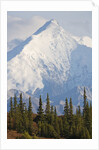 Mount Brooks in Denali National Park by Anonymous