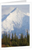 Mount Brooks in Denali National Park by Anonymous