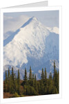 Mount Brooks in Denali National Park by Anonymous