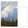 Mount Brooks in Denali National Park by Anonymous