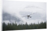 Floatplane above Rainforest in Misty Fjords National Monument by Anonymous