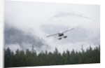 Floatplane above Rainforest in Misty Fjords National Monument by Anonymous