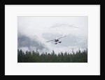 Floatplane above Rainforest in Misty Fjords National Monument by Anonymous