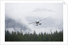 Floatplane above Rainforest in Misty Fjords National Monument by Anonymous