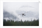 Floatplane above Rainforest in Misty Fjords National Monument by Anonymous