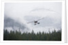 Floatplane above Rainforest in Misty Fjords National Monument by Anonymous