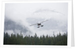 Floatplane above Rainforest in Misty Fjords National Monument by Anonymous