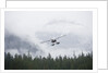 Floatplane above Rainforest in Misty Fjords National Monument by Anonymous