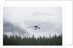 Floatplane above Rainforest in Misty Fjords National Monument by Anonymous