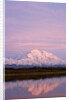 Mount McKinley at Sunset in Denali National Park by Anonymous
