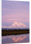 Mount McKinley at Sunset in Denali National Park by Anonymous