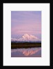 Mount McKinley at Sunset in Denali National Park by Anonymous