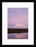 Mount McKinley at Sunset in Denali National Park by Anonymous