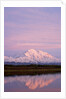 Mount McKinley at Sunset in Denali National Park by Anonymous
