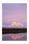 Mount McKinley at Sunset in Denali National Park by Anonymous
