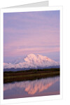 Mount McKinley at Sunset in Denali National Park by Anonymous
