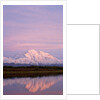 Mount McKinley at Sunset in Denali National Park by Anonymous