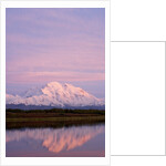 Mount McKinley at Sunset in Denali National Park by Anonymous