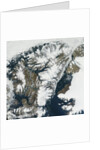 Retreating Ice Shelves on Ellesmere Island by Anonymous