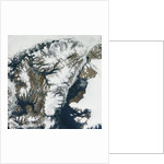Retreating Ice Shelves on Ellesmere Island by Anonymous