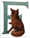 F Is For Fox Illustration by Anonymous