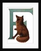 F Is For Fox Illustration by Anonymous