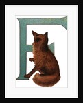 F Is For Fox Illustration by Anonymous