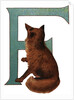 F Is For Fox Illustration by Anonymous