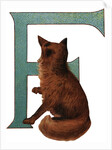 F Is For Fox Illustration by Anonymous