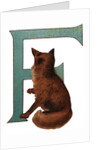 F Is For Fox Illustration by Anonymous