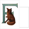 F Is For Fox Illustration by Anonymous