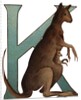 K Is For Kangaroo Illustration by Anonymous