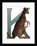 K Is For Kangaroo Illustration by Anonymous