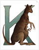 K Is For Kangaroo Illustration by Anonymous