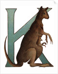 K Is For Kangaroo Illustration by Anonymous
