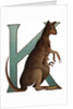 K Is For Kangaroo Illustration by Anonymous