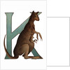 K Is For Kangaroo Illustration by Anonymous