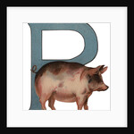 Pig Is For Pig Illustration by Anonymous