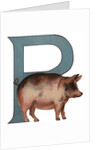 Pig Is For Pig Illustration by Anonymous