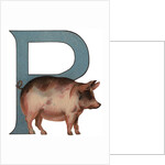 Pig Is For Pig Illustration by Anonymous