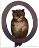 Owl Is For Owl Illustration by Anonymous