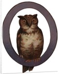 Owl Is For Owl Illustration by Anonymous