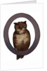 Owl Is For Owl Illustration by Anonymous