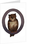 Owl Is For Owl Illustration by Anonymous